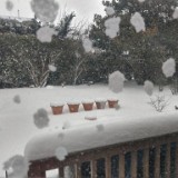 Snow View From Kitchen Window