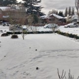 Snow View From Front Porch