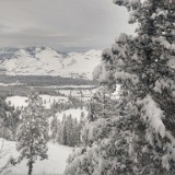 View From Breakfast Room