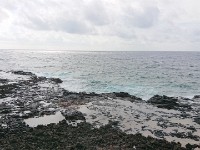 Spouting horn spot