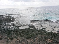 Spray from spouting horn