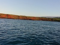Landscape from boat