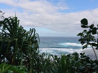 View of beach from trail