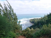 View of beach from trail