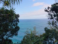 View of ocean from trail