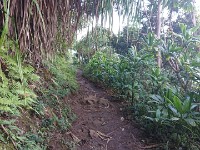 View of trail