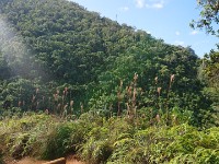 View from trail