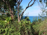View of ocean