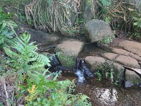 Creek crossing