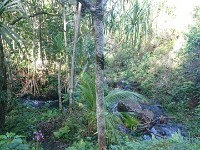 Creek crossing