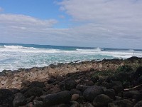 Surf