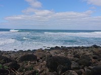 Surf