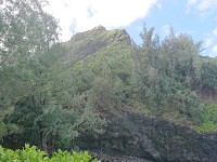 Landscape near beach