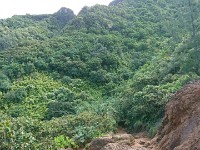 Landscape from trail