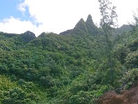 Landscape from trail