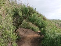 View of heritage trail