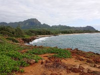 View of beach from trail
