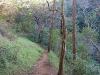Canyon Rim trail