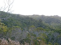 View from trail