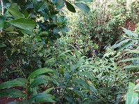 View from trail