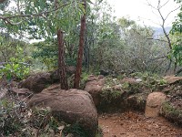 View of trail