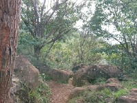 View of trail