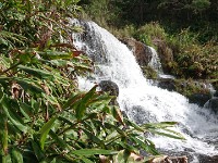 Waterfall downsteam