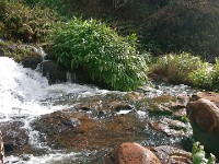 Waterfall downstream