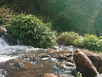 Waterfall downstream
