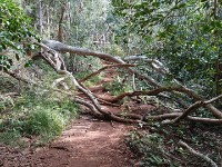 View of canyon rim trail