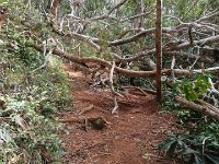 Canyon rim trail