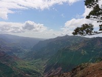 View of canyon from lookout