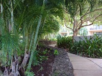Landscaped paths