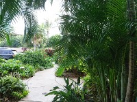 Landscaped paths