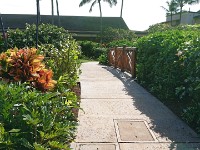 Path over canal