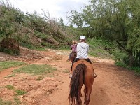 Horseback riding on seventh day