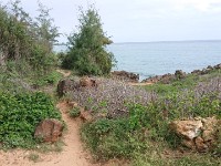 View of heritage trail