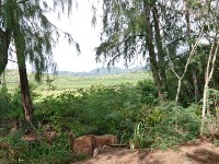 View from horse trail