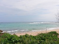 View of beach