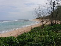 View of beach where we saw monk seal two days earlier