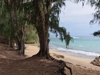 View of beach