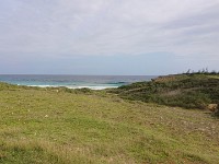 View from horse trail