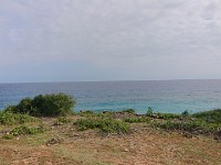 View from horse trail