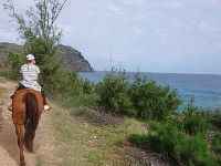 View from horse trail