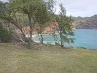 View from horse trail