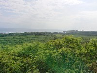 View from horse trail