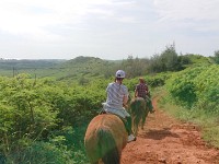 View from horse trail