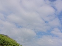 View from horse trail