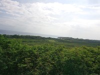 View from horse trail