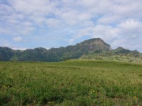 View from horse trail